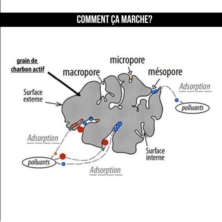 CHAR4X15_A_2